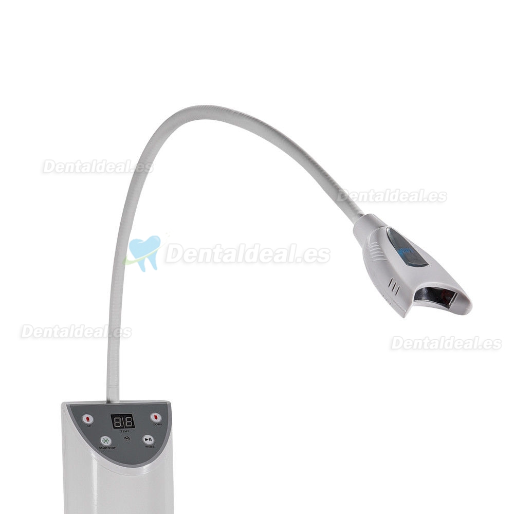 Magenta® Blanqueamiento de dientes Sistema de Blanqueamiento Luz LED MD666